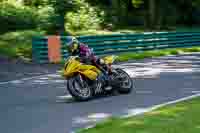 cadwell-no-limits-trackday;cadwell-park;cadwell-park-photographs;cadwell-trackday-photographs;enduro-digital-images;event-digital-images;eventdigitalimages;no-limits-trackdays;peter-wileman-photography;racing-digital-images;trackday-digital-images;trackday-photos